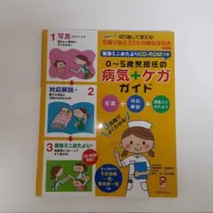 0～5歳児担任の病気+ケガガイド 写真+対応解説+緊急ミニおたより 3段階でよ…