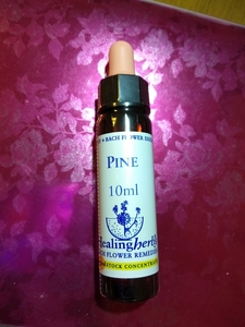 24パイン Pine (セイヨウアカマツ)フラワーエッセンス☆ヒーリングハーブス社 Healing Herbs Flower Essence■バッチフラワー■新品