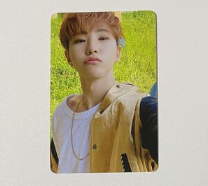 SEVENTEEN ホシ Your Choice 中華 中国 ヨントン トレカ HOSHI Photocard