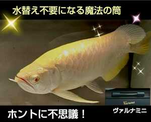 アロワナ飼育者絶賛！水質が抜群に☆【ヴァルナ23センチ】有害物質を強力抑制！透明度が抜群になります！水替え一切不要になります！楽チン