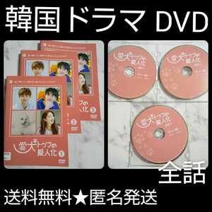 【韓国ドラマ】DVD★愛犬トゥブの擬人化(全話)★イ・ジェファン（VIXX KEN）