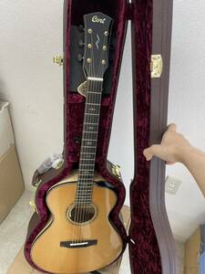 Cort / Gold Passion 新品未使用