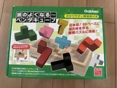 Gakken 頭のよくなるペンタキューブ　パズル　学研