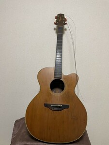 ハードケース付　TAKAMINE タカミネ　NPT-010 エレアコ アコースティックギター　ジャンク