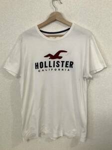 HOLLISTER ホリスター　刺繍ワッペン付き　半袖Tシャツ　クルーネック　アメカジ　ストリート　古着　メンズ　 L