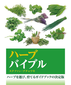 オラクルカード 占い カード占い タロット ハーブバイブル herb bible ルノルマン スピリチュアル インド占星術