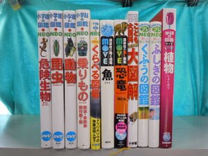 【図鑑】《まとめて11点セット》講談社の動く図鑑MOVE/小学館の図鑑NEO/学研の図鑑LIVE/恐竜/乗りもの/動物/危険生物/他