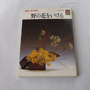 野の花をいける　片岡寧豊　保育社カラーブックス