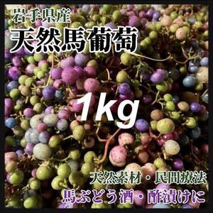 【冷凍クール便発送】 1kg 馬ぶどう　薬膳酒作りに　ぶすの実　天然素材大容量 薬膳酒 馬葡萄 健康療法 薬膳 うまぶどう　新物