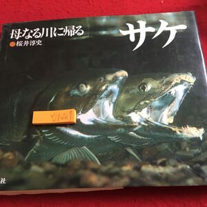 Y21-207 母なる川に帰る サケ 桜井淳史 平凡社 1981年発行 写真集 自然 生態 厳しさ 産卵 知床 アラスカ 旅 川上り 四季色々 など