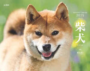 カレンダー2025 柴犬（月めくり/壁掛け） (ヤマケイカレンダー2025)