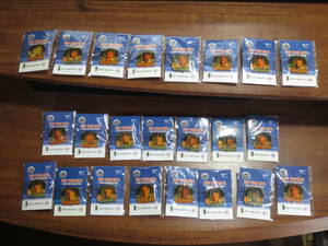 【NewYork METS Collection！】ニューヨーク メッツ 2005 ピンバッジ コレクション 23個 MLB New York METS 2005 Pin Collection