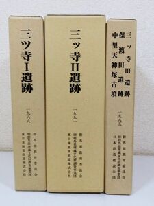 369/三ツ寺Ⅰ遺跡/三ツ寺Ⅱ遺跡/三ツ寺Ⅲ遺跡・保渡田遺跡・中里天神塚古墳/発掘調査報告書3冊セット/群馬県教育委員会/1985-89年 函入