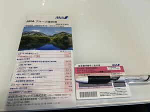 全日空 ANA 株主優待券　2024/06/01〜2025/05/31