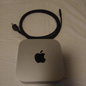 Apple Mac mini Apple M4チップ（10コアCPU/10コアGPU）/SSD 256GB/メモリ 16GB MU9D3J/A m4 2024