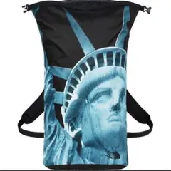 SUPREME⭐︎Statue of Liberty Waterproof BP