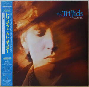 The Triffids - [帯付/Promo] Calenture/カレンチュアー 国内盤 LP POLYSTAR - R28D-2105 トリフィッズ 1987年 Go-Betweens, Australia