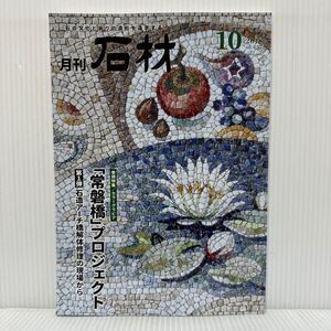 月刊 石材 2018年10月号 vol.457★都内現存最古の石造アーチ橋　常磐橋を後世に/常磐橋解体修理工事を見る/天然石割肌モザイク