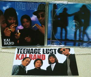 即決！送料230円●CD＋8cmCD 甲斐バンド Big Night 代表曲を新録音 生産終了＋Teenage Lust 4曲入り プロモ これでしか聴けない音源もあり