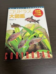 ◆送料無料 即決 初版◆コリドラス大図鑑◆小林圭介