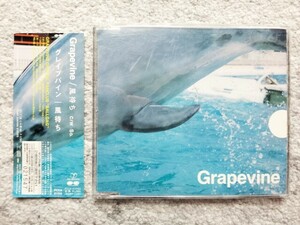 D【 GRAPEVINE グレイプバイン / 風待ち 】プロモーション用・見本盤　CDは４枚まで送料１９８円