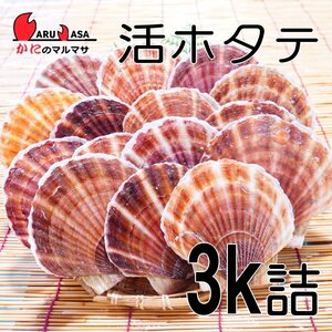 【かにのマルマサ】北海道産 活ホタテ貝 3キロ詰
