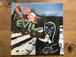 新品未開封　EGON / Curse Of The Evil Badger STONES THROW MADLIB KNXWLEDGE