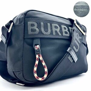 1円 【極美品】 バーバリー BURBERRY ショルダーバッグ パディ クロスボディ カメラ ロゴベルト ナイロン レザー ブラック 黒 現行 8025669