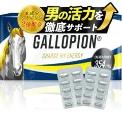 2セットGALLOPION (ギャロピオン) 30粒 日本製 総合メンズサプリ