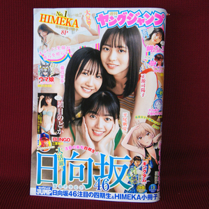 ヤングジャンプ2023年49号 日向坂46平尾帆夏 正源司陽子 藤嶌果歩 鎮目のどか「HIMEKA8P小冊子」特別付録「からあげ1個分の幸せ」特別読切