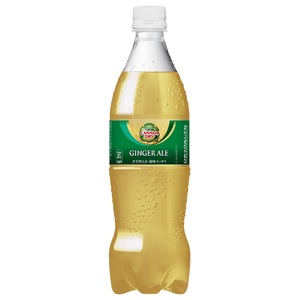 カナダドライ ジンジャーエール PET 700ml 20本 (20本×1ケース) PET ペットボトル 炭酸飲料 ginger ale コカコーラ社