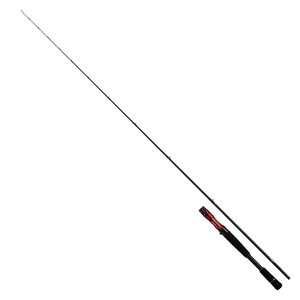 ダイワ(DAIWA) 21 スティーズ C70H-SV・ST ベイトキャスティングモデル