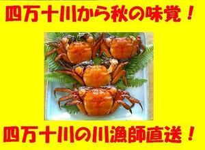 ◆◇秋の味覚天然モクズガニ(15～16杯約1.2～1.3kｇ)◇◆