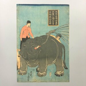 一龍斎芳豊(歌川芳豊)『天竺之象此度両国広小路におゐて看物興行之図』　大判浮世絵　江戸末期　文久3年　師:国貞,国芳　錦絵木版画