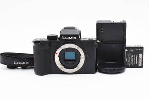 ★美品★ Panasonic LUMIX DC-G100 パナソニック #2903