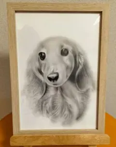 鉛筆画　犬の絵　B5サイズ　額付き