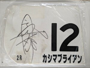 JRA ゼッケン 10 枚セット カシマブライアン、バイオレットマーチなど