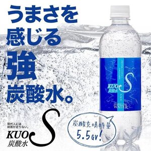 強炭酸水 クオス KUOS 500ml×24本 プレーン / ラベル有