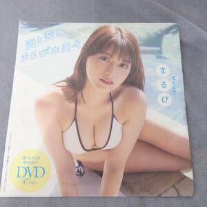 まるぴ DVD 週刊プレイボーイ 2024年24号 