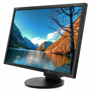 1859// NEC MultiSync EA243WM L240UM 24.1インチ ワイド 液晶ディスプレイ WUXGA/TN/HDMI/Displayport/モニター 