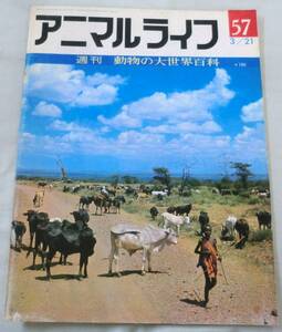 古書◆雑誌◆S47年 週刊アニマルライフ第５７号 ◆ コブウシ★コナチャタテ★コノシロ★コノハウオ★コノハズク★コバンザメ★