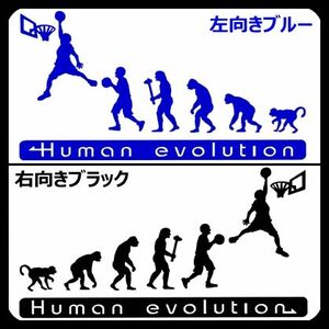 人類の進化 30cm【バスケットボール編】ダンクステッカー1