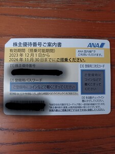 全日空 　ANA　株主優待券　1枚　2024年11月30日まで　番号通知のみ