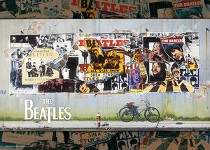 アップルワン The Beatles Anthology(ザ・ビートルズ アンソロジー) 500-329