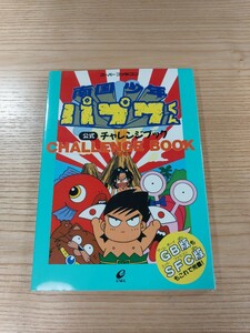 【D3278】送料無料 書籍 南国少年パプワくん 公式チャレンジブック ( SFC 攻略本 B6 空と鈴 )