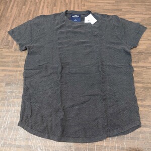 HOLLISTER 半袖 Tシャツ L