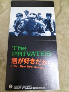 The PRIVATESプライベーツ君が好きだから廃盤8cmSCD