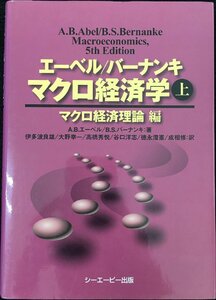 マクロ経済学 (上(マクロ経済理論編))