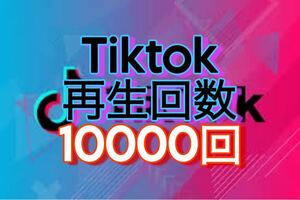 【おまけ 10000回 tiktok 再生回数 増加】ティックトック follower インフルエンサー 自動ツール 宣伝　拡散　工作　2