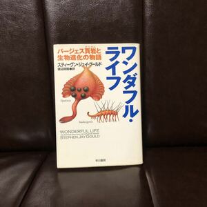 ワンダフルライフ/スティーヴン ジェイ グールド☆バージェス頁岩 生物進化 化石 生命 研究 調査 動物 カンブリア 起源文学 歴史 時代